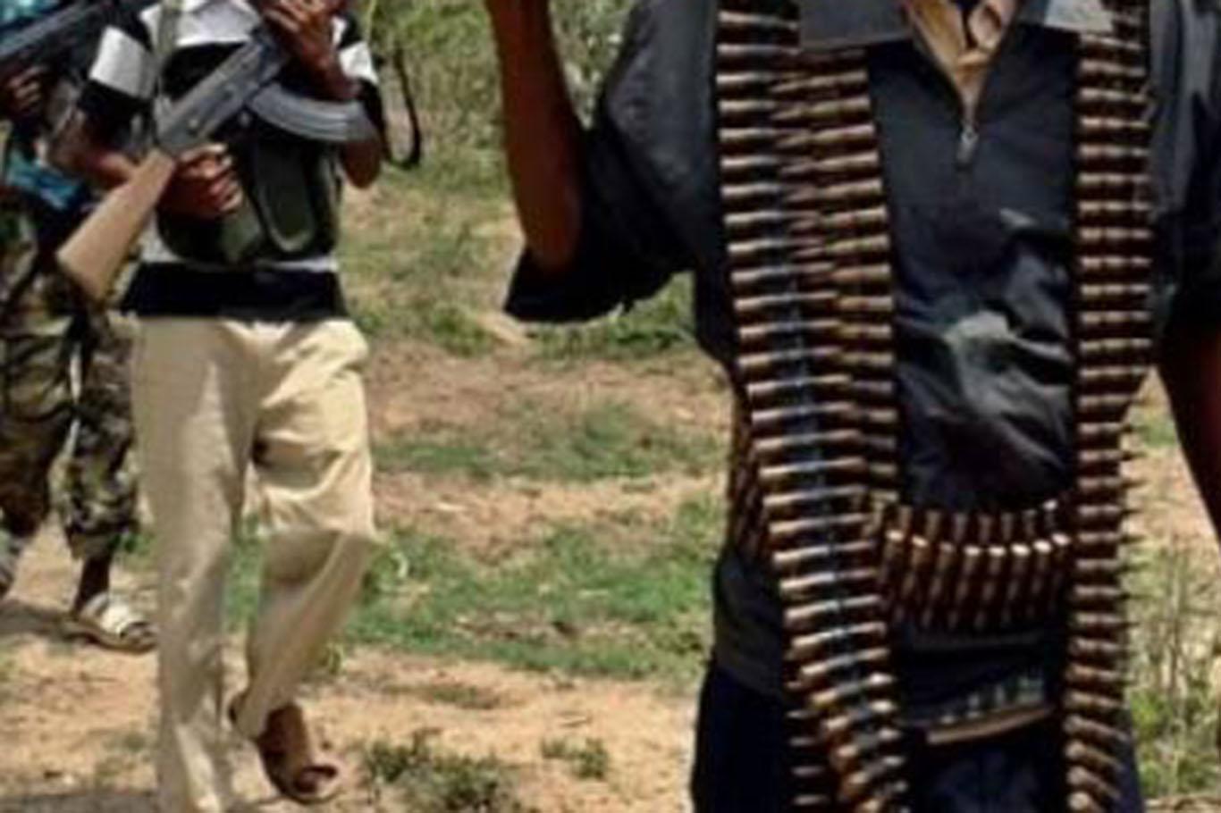 Nijerya ordusu 35 Boko Haram mensubunu öldürdü